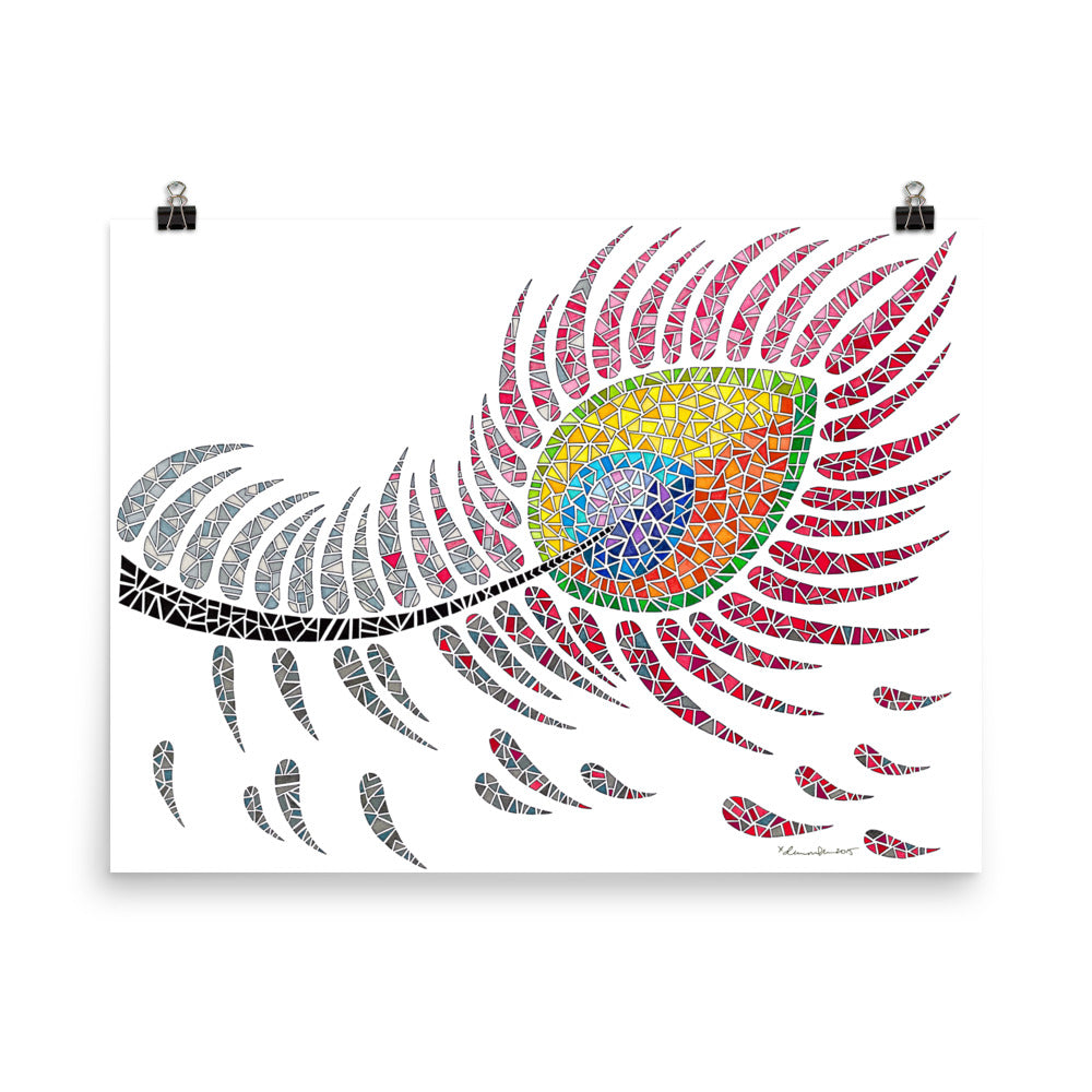 Peacock Feather Poster